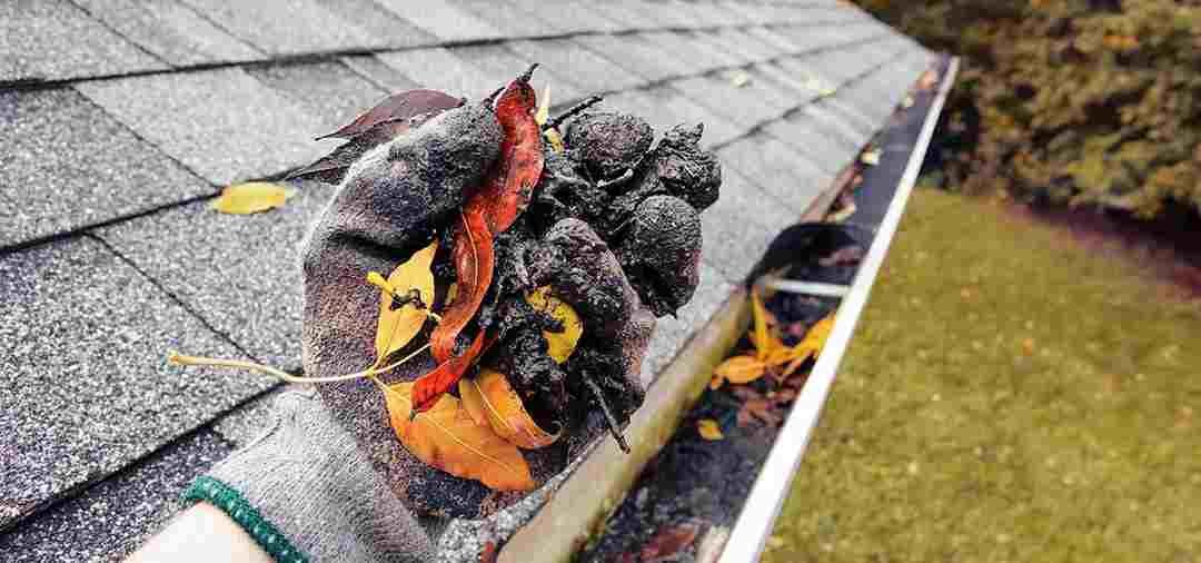Adam Window & Gutter Cleaning - gutter cleaning and eavestrough maintenance services