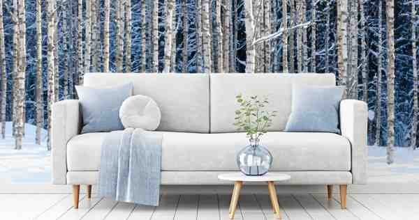 Professional Cleaning Services Toronto